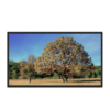 25.3″ color e ink display