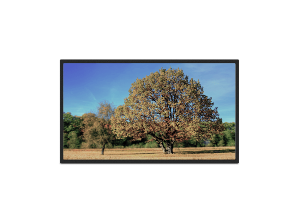 25.3″ color e ink display