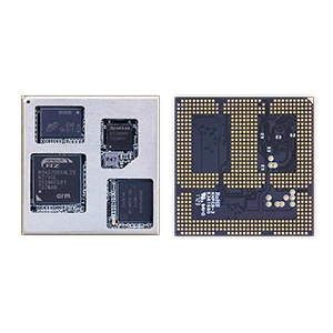 Renesas RZ/V2L OSM System-on-Module