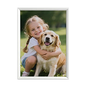15.6″ E Ink Display for Digital Art & Photo Presentation